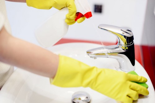 Removing pet odours from upholstery and rugs