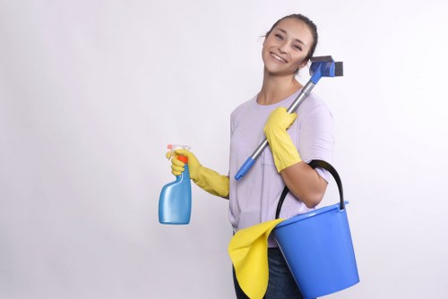 Enzyme cleaner used for pet stain odour removal