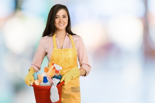 Professional pet stain odour removal service in a living room